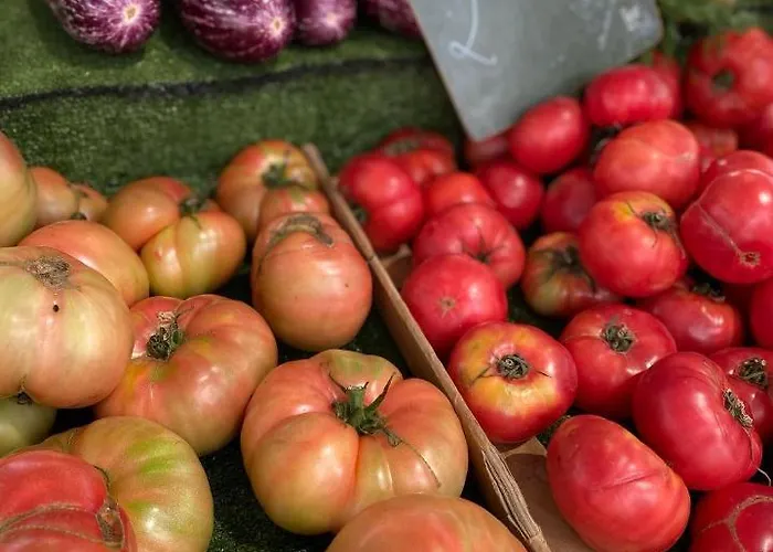 Appartamento With Solarium/terrace. *